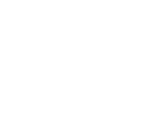 Insurances Geico